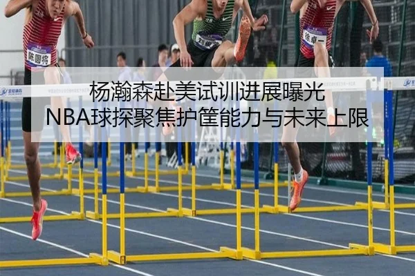 杨瀚森赴美试训进展曝光 NBA球探聚焦护筐能力与未来上限